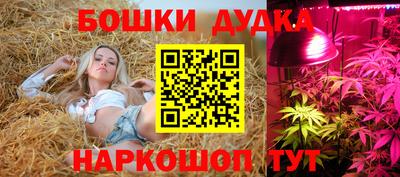 ешки Гатчина